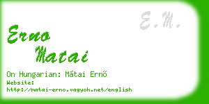 erno matai business card